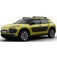 C4 Cactus