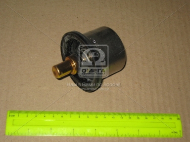 Термостат (вир-во Vernet)