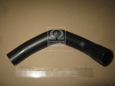 Патрубок радіатора (вир-во Sampa)