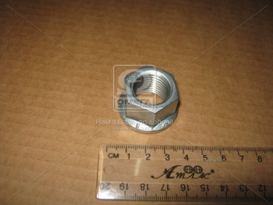 Гайка М20*2*20 SW27 колеса TRILEX, BPW, DAF, MAN, MB, SCANIA, VOLVO (вир-во Febi)