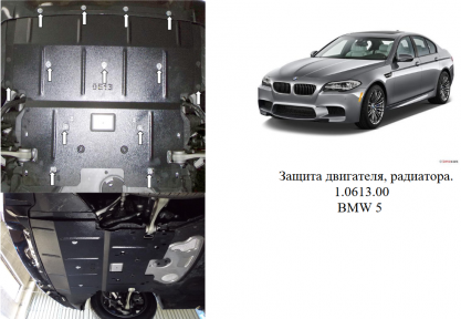 Захист двигуна КОЛЬЧУГА для BMW 5-ї серії 528i (F10) (2010-) 3,0 D і 2,0 АКПП/тільки 4х4