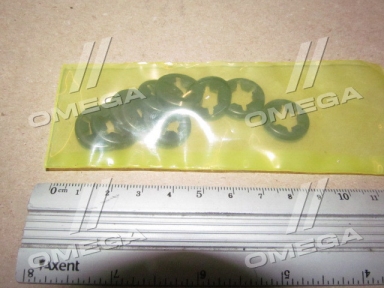 Фіксатори супорта гальмівний. BPW TSB 3709,4309,4312 (компл. 10 шт.) (вир-во Andtech)