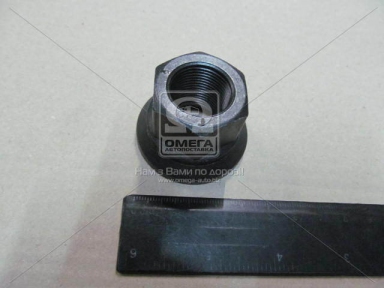 Гайка М22*1,5*31*46 SW32 BPW, DAF, MERITOR, KASSBOHRER (вир-во Febi)