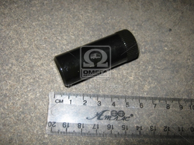 Палець 22*56 колодки гальмівний. DAF 65,75,85 CF,CF75,95XF (вир-во SAMPA)