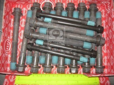Болт головки блока DAF WS/XF M16x2.0x146 17шт. + M12x1.75x140 4 шт (пр-во Elring)