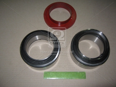 Подшипник ступицы DAF (пр-во FAG)