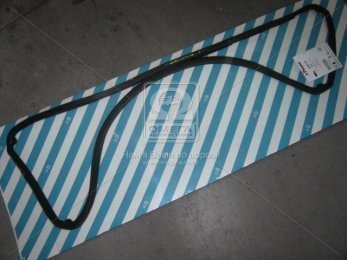 Прокладка піддону D. A. F. XF250/280/315/355M довга (вир-во Payen)