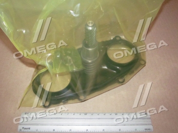 Пластина суппорта торм. BPW TSB 3709,4309,4312 (пр-во Andtech)