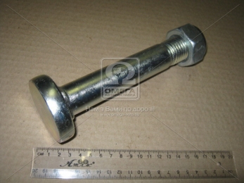 Болт М30x3,5x170 рессоры с гайкой BPW (пр-во Sampa)