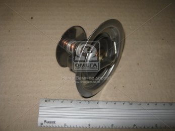 Термостат RVI C, KERAX, MAGNUM, MAJOR, MAXTER, PREMIUM (вир-во Gates)