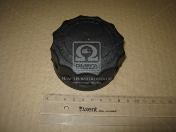 Кришка розширювального бачка DAF XF95 (TEMPEST)