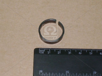 Кольцо шпильки колеса D=22х25х6 (пр-во BPW)