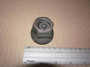 Гайка М22*2 (вир-во BPW)