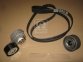 Комплект натяжителя ременя DAF CF 85, XF 105 MX265-MX375 10.05-(вир-во DAYCO)